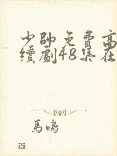 少帅免费高清连续剧48集在线观看