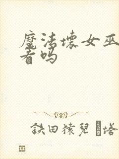 魔法坏女巫2好看吗封面