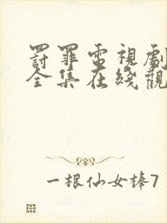 罚罪电视剧免费全集在线观看高清封面