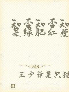 知否知否知否应是绿肥红瘦是什么季节