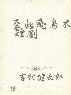 至此飞鸟不相逢 短剧