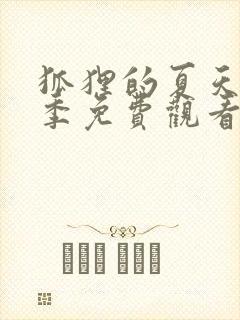 狐狸的夏天第二季免费观看封面