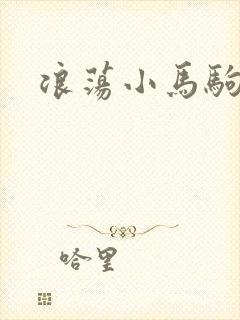 浪荡小马驹封面