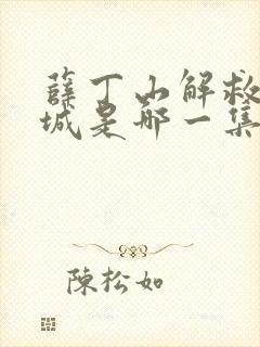 薛丁山解救锁阳城是哪一集