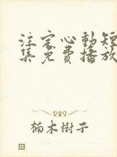 注定心动短剧全集免费播放封面