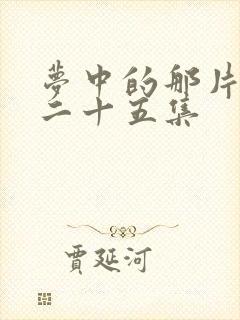 梦中的那片海第二十五集