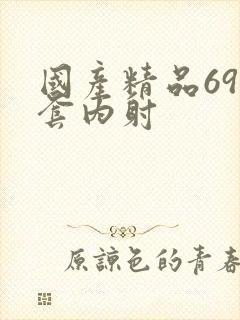 国产精品69无套内射