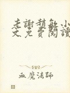 老谢赵敏小说全文免费阅读