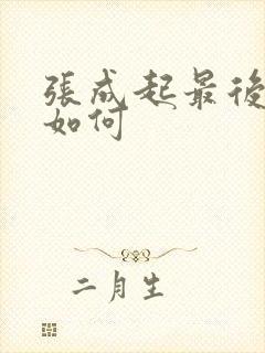 张成起最后结局如何