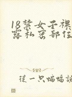 18禁女子裸体露私密部位网站封面