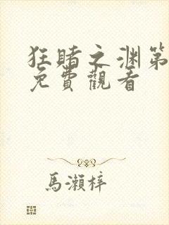 狂赌之渊第二季免费观看