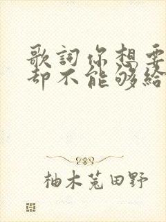 歌词你想要的我却不能够给你全部封面