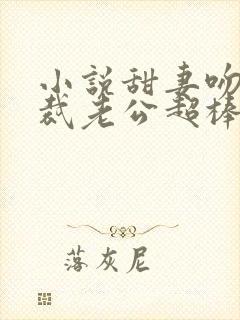 小说甜妻吻安总裁老公超棒的