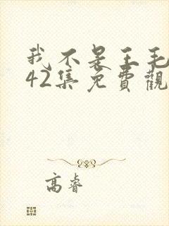 我不是王毛1至42集免费观看电视剧