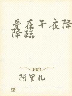 爱在午夜降临前降临