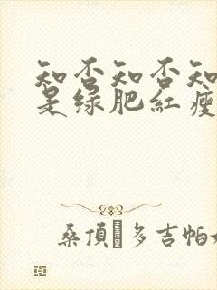 知否知否知否应是绿肥红瘦是什么季节