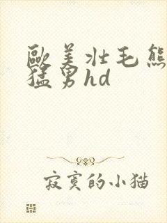 欧美壮毛熊同志猛男hd