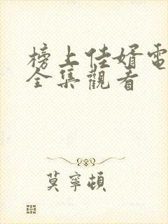 榜上佳婿电视剧全集观看