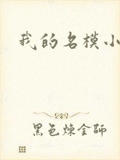 我的名模小娇妻封面