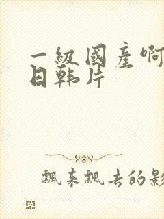 一级国产啊欧美日韩片封面