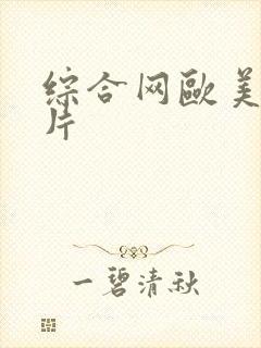 综合网欧美激情片