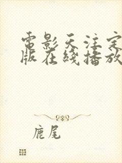 电影天注定完整版在线播放封面