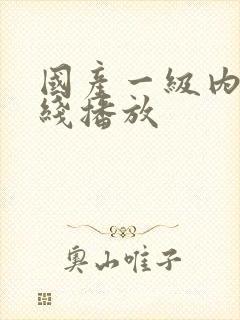 国产一级内射在线播放