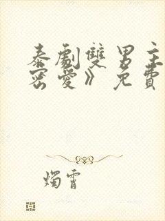 泰剧双男主《秘密爱》免费观看