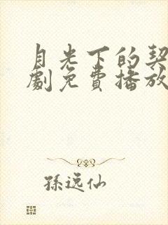 月光下的契约短剧免费播放