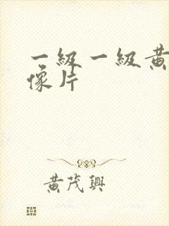 一级一级黄色录像片