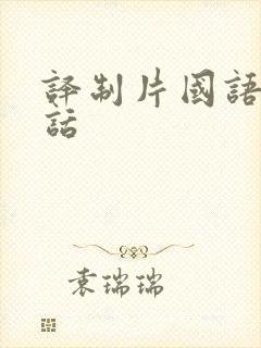 译制片国语普通话封面