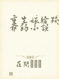 重生嫁给残疾王爷的小说