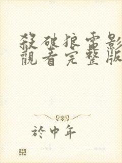 杀破狼电影免费观看完整版在线播放