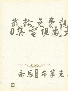 武松免费观看50集电视剧大全封面