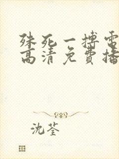 殊死一搏电影在高清免费播放封面