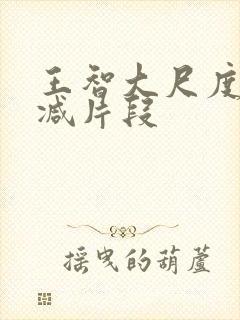 王智大尺度未删减片段