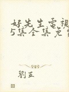 好先生电视剧45集全集免费