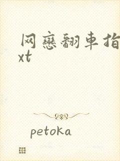 网恋翻车指南txt