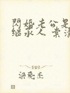 闪婚老公是豪门继承人 棠清苘