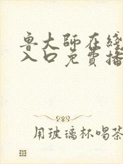 鲁大师在线观看入口免费播放电视剧