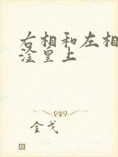 右相和左相一起淦皇上