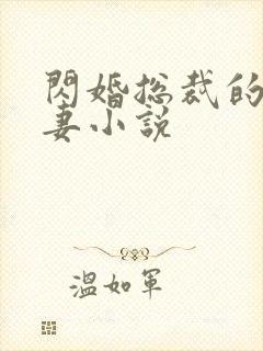 闪婚总裁的契约妻小说