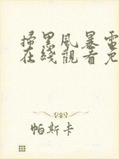 扫黑风暴电视剧在线观看免费完整版下载