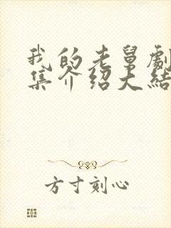 我的老舅剧情分集介绍大结局