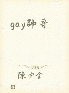gay帅哥封面