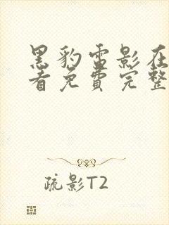 黑豹电影在线观看免费完整中文版