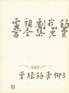 电视剧我的特一营全集免费观看