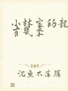 小林家的龙女仆有几季