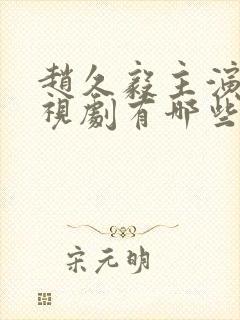 赵久毅主演的电视剧有哪些