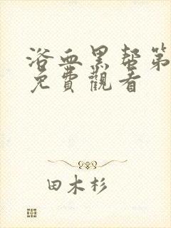 浴血黑帮第六季免费观看